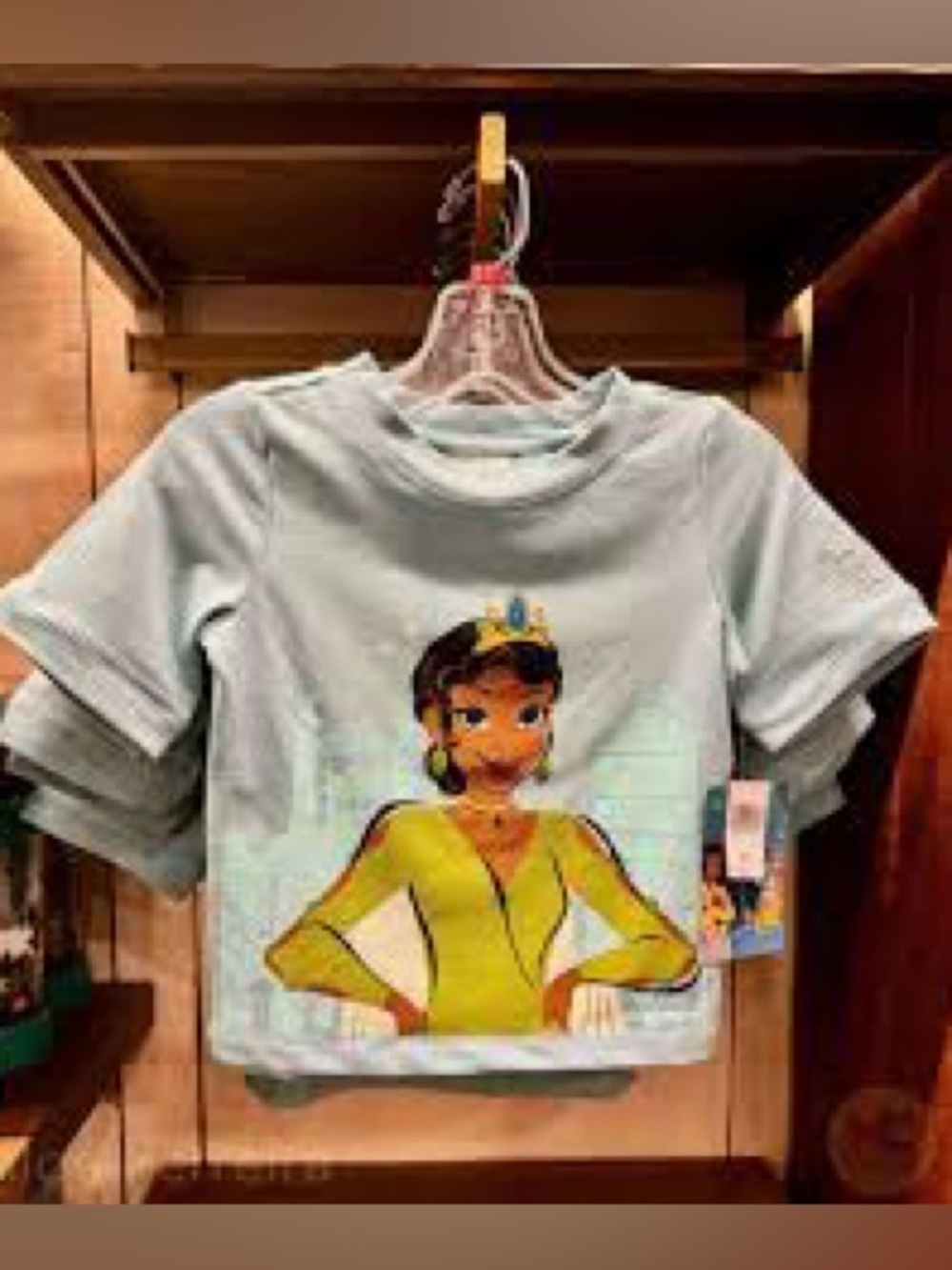 Disney parks Tiana’s Bayou cropped tshirt